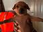 Immagine 1
