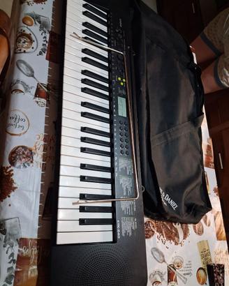 pianola casio ctk-240