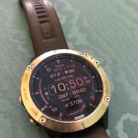 Garmin Fenix 6