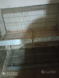  gabbie per canarini