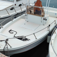 Barca entrobordo diesel regg 21