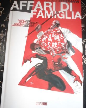 FUMETTI SPIDER-MAN AFFARI DI FAMIGLIA( 1a ed.ne)