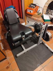 Leg extension leg curl