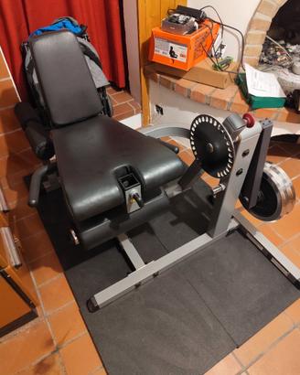 Leg extension leg curl