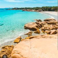 Casa per luglio a Lavinio (Gallinara)