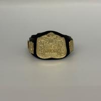 WWE Jakks Full Eagle Tag Team Championship Title