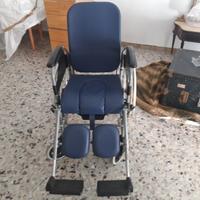 sedia a rotelle 