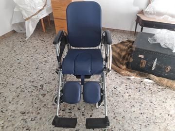 sedia a rotelle 