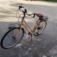 bicicletta elettrica