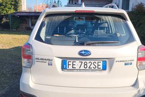 subauforester2000deiselsportline