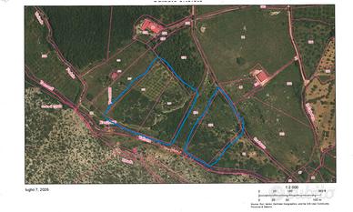 Vendita terreno agricolo Trentinara (SA)
