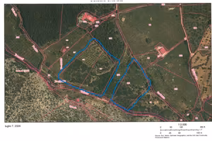 Vendita terreno agricolo Trentinara (SA)