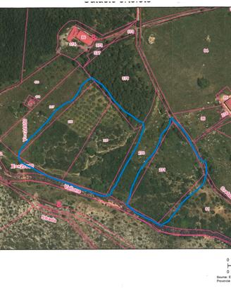 Vendita terreno agricolo Trentinara (SA)