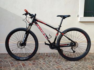MTB Cobra 29" Olympia