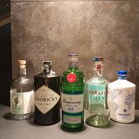 bottiglie di gin vuote 