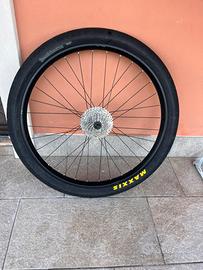 cerchio posteriore wheelie bike