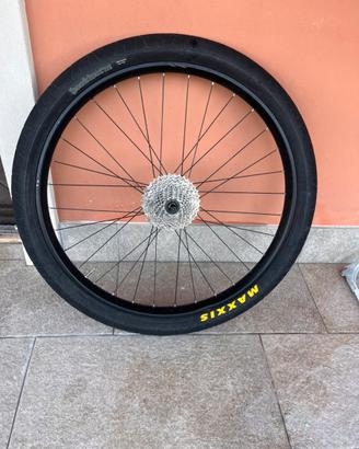 cerchio posteriore wheelie bike