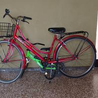 bicicletta donna da 26 pollici 