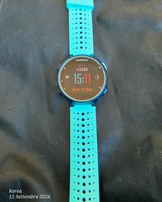 GARMIN 730