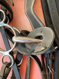 Testiera completa per doppio pony