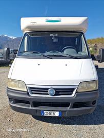 018 semi integrale MCLOUIS Lagan del 2005 in saldo