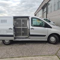 Peugeot Expert trasporto cani/animali 