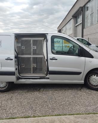 Peugeot Expert trasporto cani/animali 