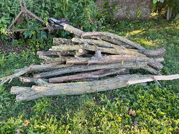 tronchi legno robinia per camino