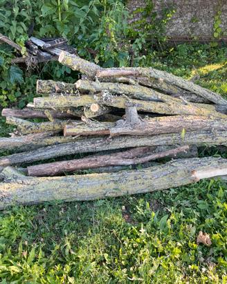 tronchi legno robinia per camino