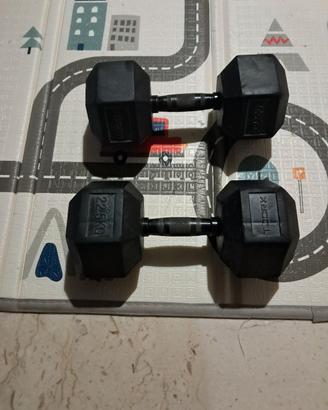 Manubri Toorx 22.5 