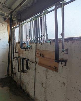 Morsetti a strettoio  Cagne  varie misure 33pezzi