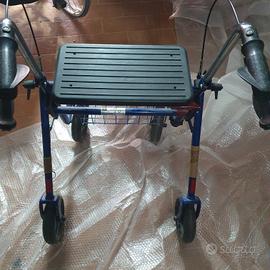 carrello e sedia a rotelle per disabile