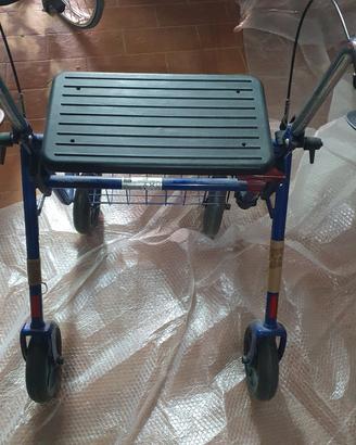 carrello e sedia a rotelle per disabile