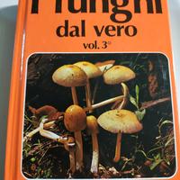 Libri