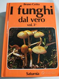 Libri