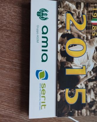 Calendario celebrativo Hellas Verona 