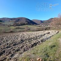 Terreno Agricolo Sassoferrato [A4336726]