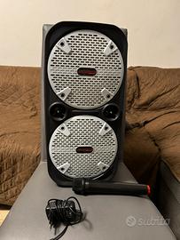 Cassa amplificata portatile