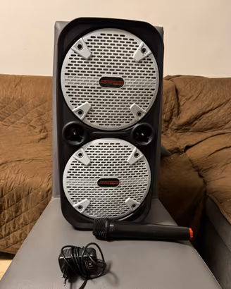 Cassa amplificata portatile