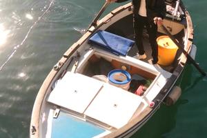 Gozzo di 5 metri modello ingenio