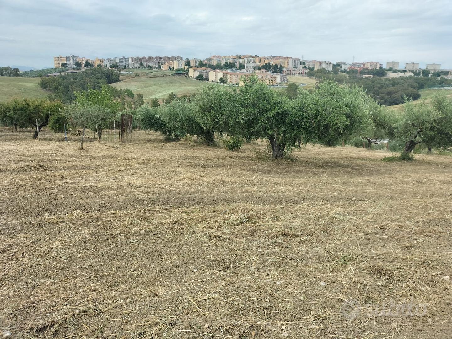 Terreno agricolo - Vista 2