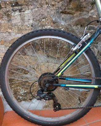 Bicicletta