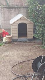 Casetta cane