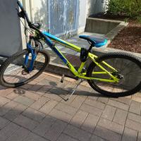 Bicicletta mountain bike