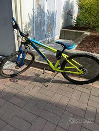 Bicicletta mountain bike