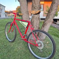 bicicletta mountain bike
