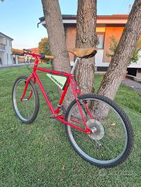 bicicletta mountain bike