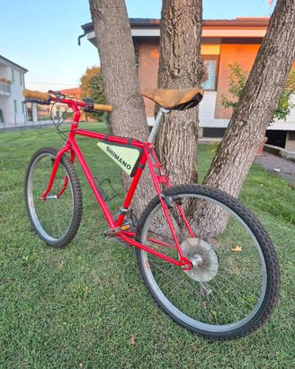 bicicletta mountain bike