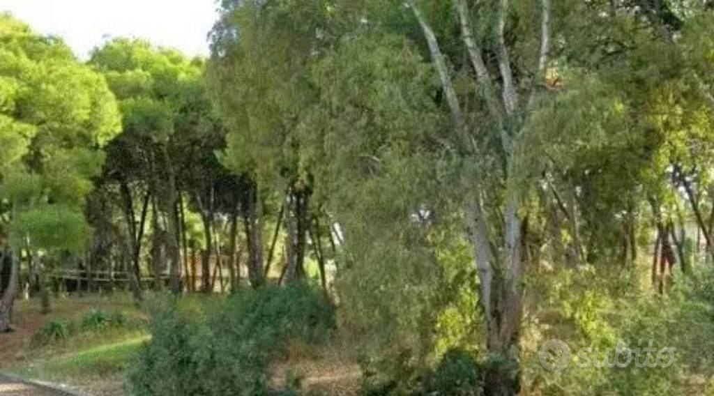 Immobile in asta di 2544 m² a Taranto - Vista 4