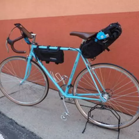 Bicicletta vintage Atala usata (senza borse)